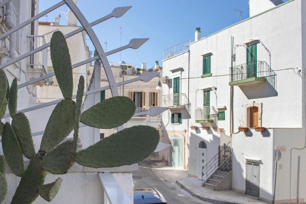 Casa Tuccia Interni